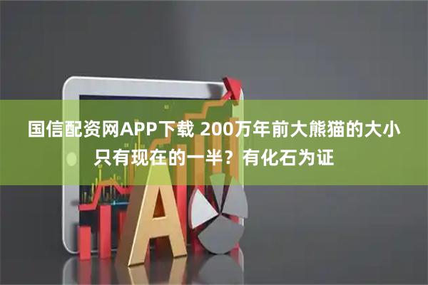 国信配资网APP下载 200万年前大熊猫的大小只有现在的一半？有化石为证