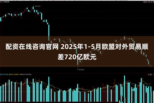 配资在线咨询官网 2025年1-5月欧盟对外贸易顺差720亿欧元
