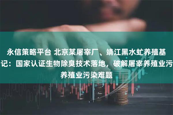 永信策略平台 北京某屠宰厂、靖江黑水虻养殖基地焕新记：国家认证生物除臭技术落地，破解屠宰养殖业污染难题