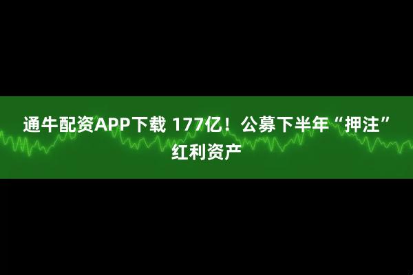 通牛配资APP下载 177亿！公募下半年“押注”红利资产