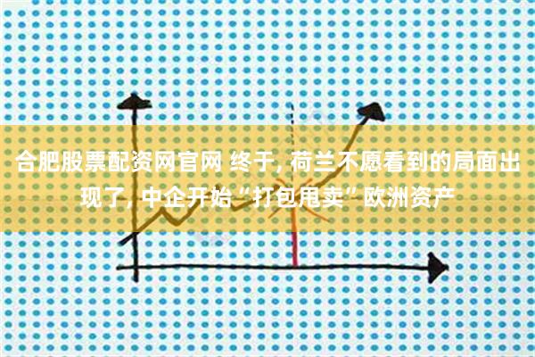 合肥股票配资网官网 终于, 荷兰不愿看到的局面出现了, 中企开始“打包甩卖”欧洲资产