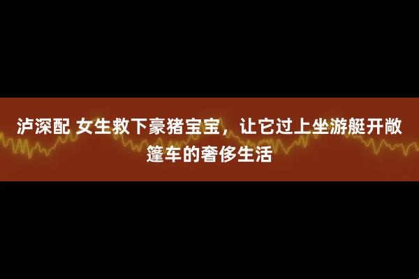 泸深配 女生救下豪猪宝宝，让它过上坐游艇开敞篷车的奢侈生活