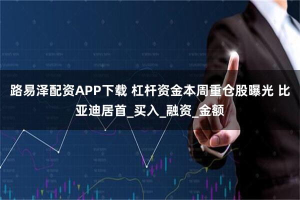 路易泽配资APP下载 杠杆资金本周重仓股曝光 比亚迪居首_买入_融资_金额