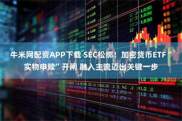 牛米网配资APP下载 SEC松绑！加密货币ETF“实物申赎”开闸 融入主流迈出关键一步