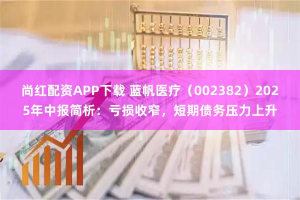 尚红配资APP下载 蓝帆医疗（002382）2025年中报简析：亏损收窄，短期债务压力上升