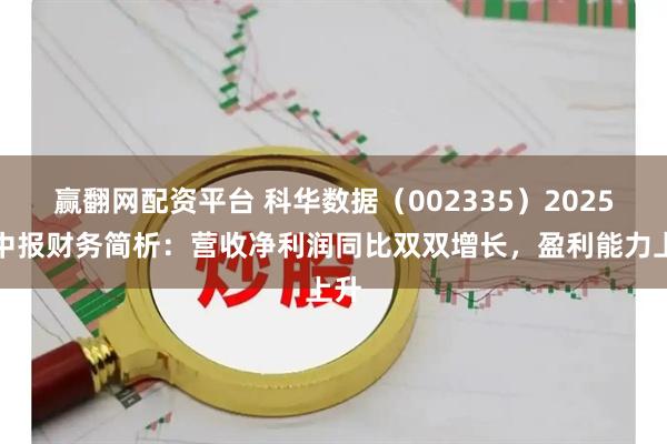 赢翻网配资平台 科华数据（002335）2025年中报财务简析：营收净利润同比双双增长，盈利能力上升